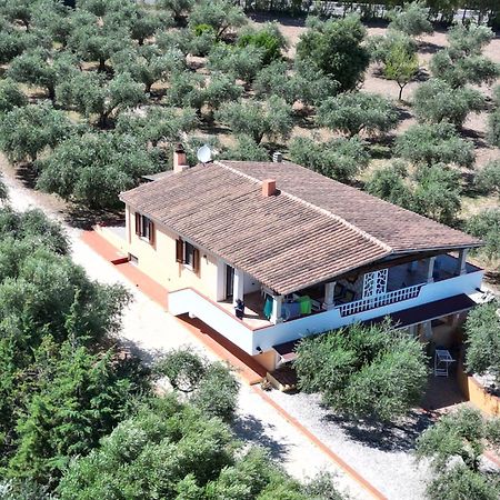 Rustico Degli Ulivi Apartment Орозеи Екстериор снимка